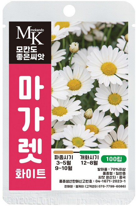 모칸도 좋은씨앗 마가렛 씨앗 화이트 100립 꽃씨 꽃씨앗, 1개