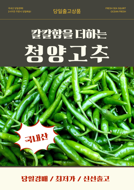 당일경매 국내산 청양고추 신선한 고추 경매후바로발송 양념용 요리용 가정용, 1개, 상1kg