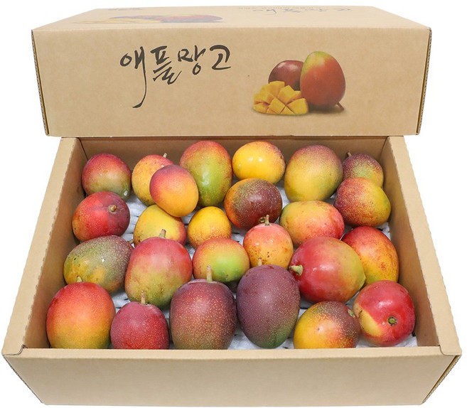 삼다몰 제주 애플망고 3kg, 1박스