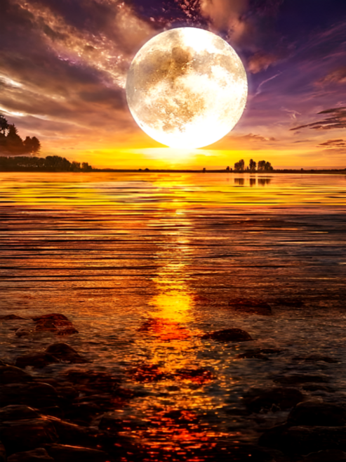 앤드 DIY 보석십자수 액자형 보석 십자수 세트 30X40cm, N003, 1세트