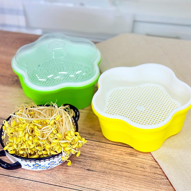 관찰학습 미니 콩나물 키우기 시루 체험 학습 재료 어르신 미술학원 수업키트 초딩용, 초록색+콩나물 콩 200g