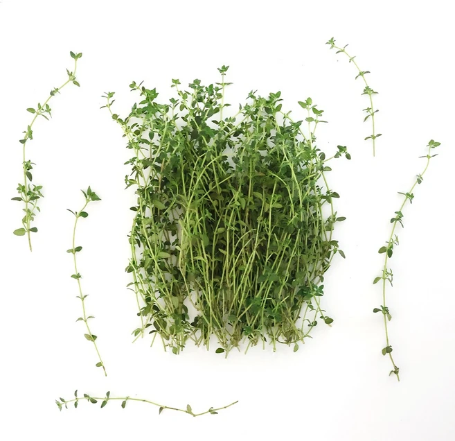 유기농 레몬타임 생잎 데코용 허브 10g 50g 100g, 1개 - 쿠팡