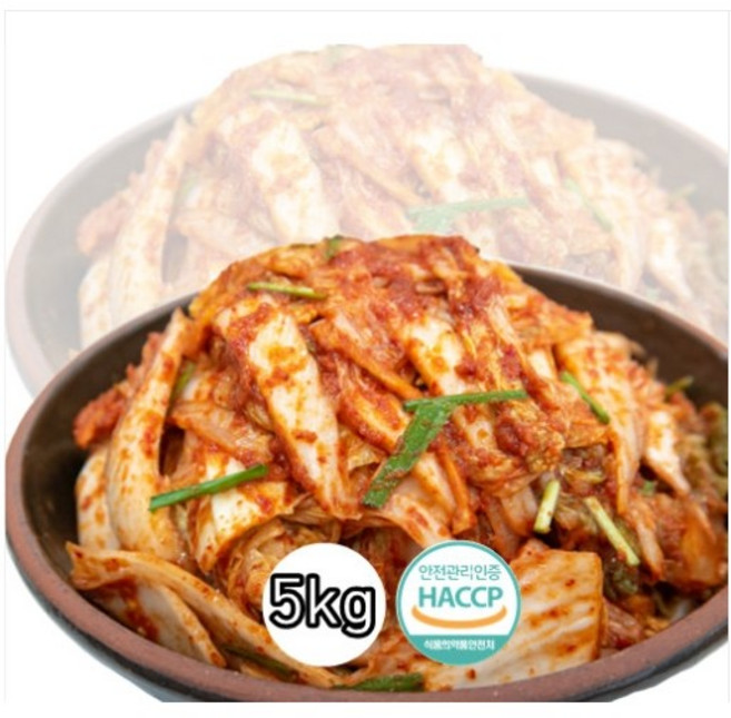 청정 제주김치 제주한백 국내산 100% 겉절이김치 5kg, 1개