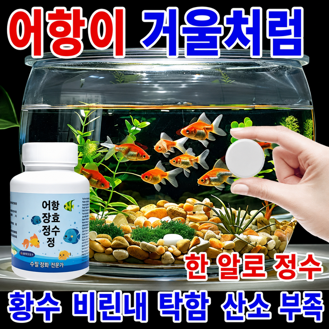 올인원 가정용 수족관 정수제 실내 금붕어 어항 /열대어 수조/수련 화분/정원 연못·잉어 연못, 1개