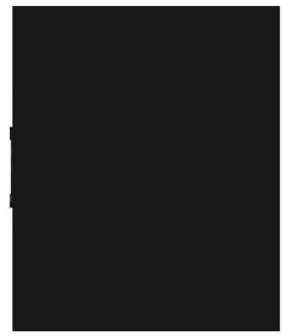 대형 클리어화일 파일첩 도화지 작품 파일 포스터 도면, 1개, 블랙 A1 20페이지 12