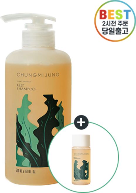 (청미정) 다시마 샴푸 기획세트 (+20ml 증정품), 1개, 500ml