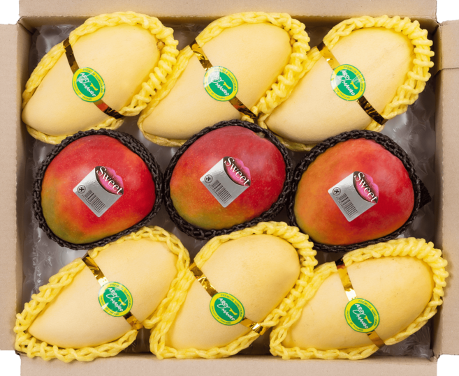 [항공직송] [당일배송] 태국 망고 프리미엄 혼합 세트 남독마이 망고 & 애플망고 가정용 선물세트, 1박스, 3.8kg-A