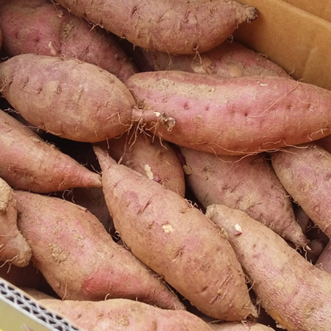 보령 꿀호박고구마, 1개, 5kg, 박스