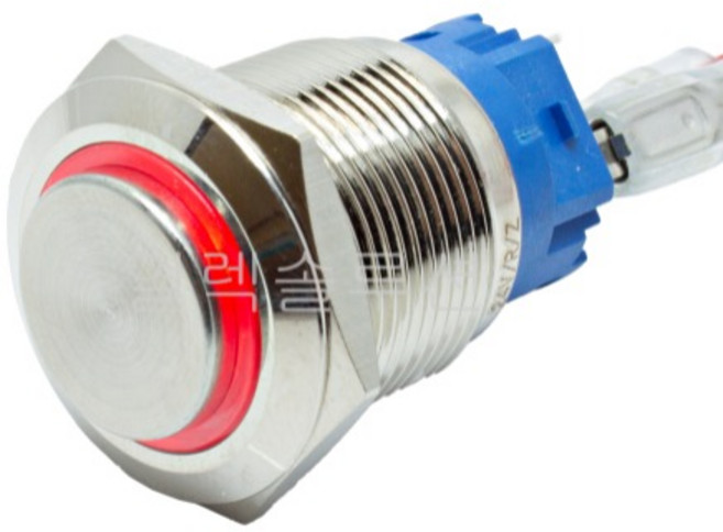 19파이 메탈 푸쉬 스위치 돌출형 레드 LED 6V/12V/24V, 1개