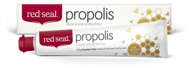 든든한하루 레드씰 프로폴리스 치약(100g), 100g, 1개