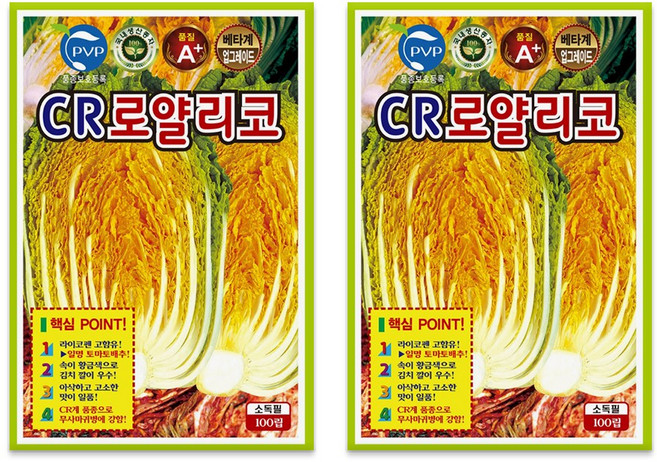 영농사 CR 로얄 리코 배추씨앗 100립 김장 황금 배추씨, 2개