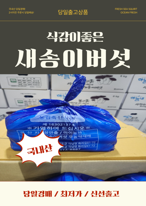 당일경매 국내산 새송이버섯 신선한 버섯 경매후바로발송 구이용 볶음용 가정용, 1개, 상2kg