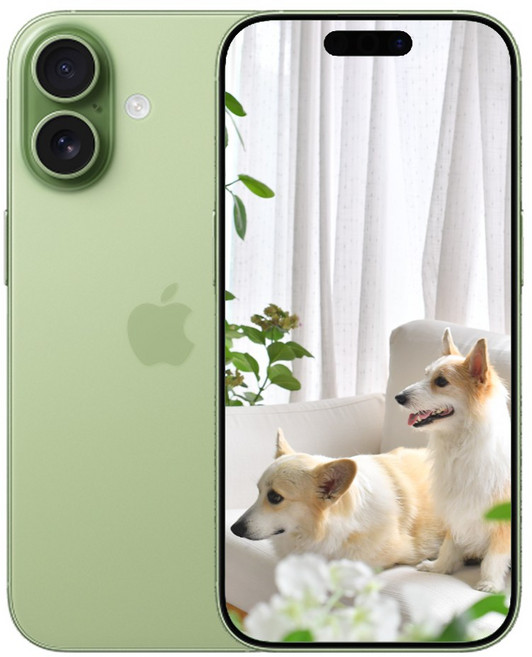 i/폰17 새상품 미개봉, 256GB, 세이지 아이폰 17