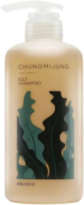 청미정 다시마 샴푸 비듬각질 케어 (500ml+21ml 기획), +21ml, 1개, 500ml