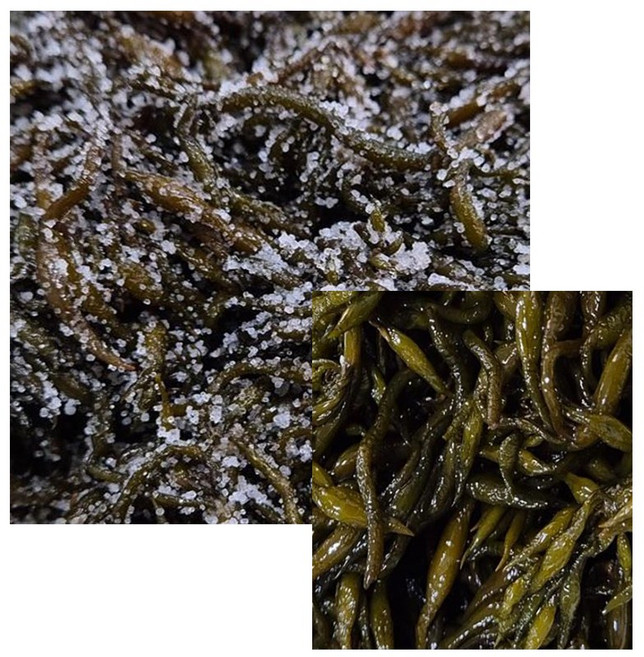 성원식품 염장 톳 해조류 해초, 1개, 4kg