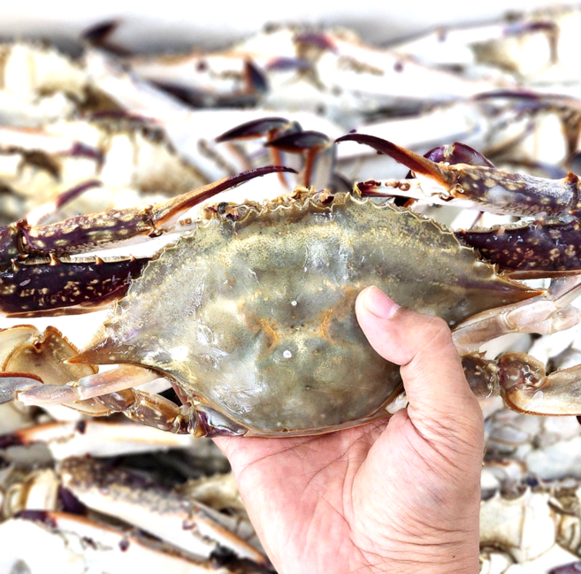 연평도꽃게 냉동 손질 양념게장용 1kg, 1개, 10.숫꽃게 2-3미1kg통꽃게(연평도)찜/탕