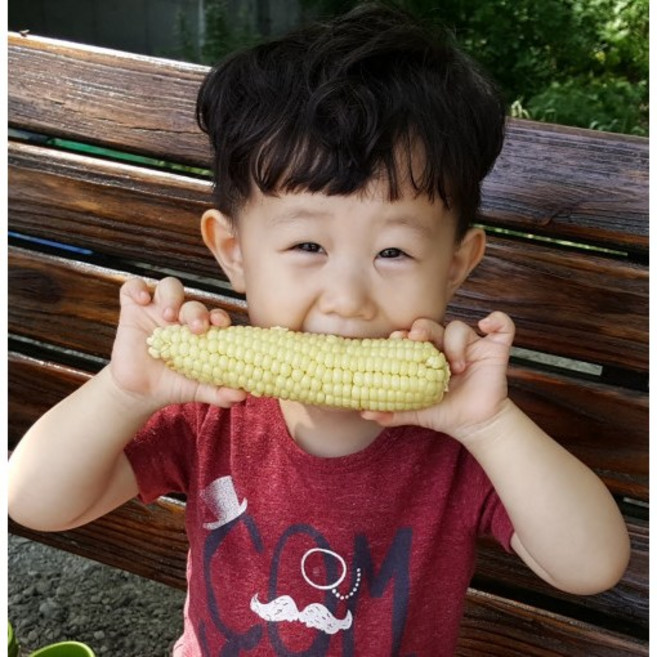 청주 괴산 냉동찰옥수수 무첨가 국산옥수수, 30개