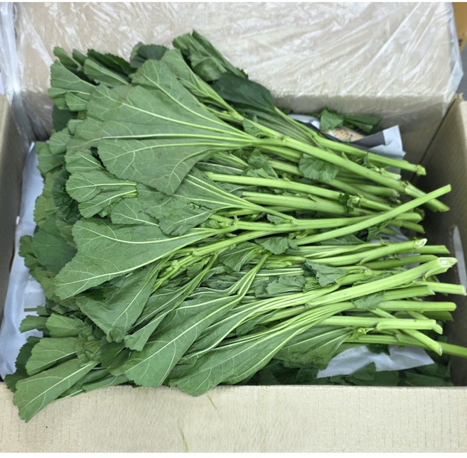 싱싱한 아욱 2kg, 1개