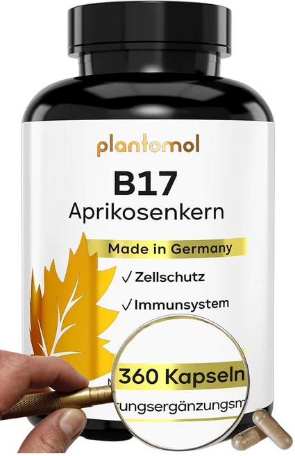 아미그달린 비타민B17 1100mg 로즈힙 비타민C 75mg 360캡슐 6개월분, 1개, 360정 - 쿠팡