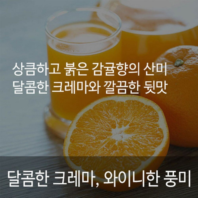 코스타리카 따라쥬SHB 1kg 상큼한감귤향의산미 달콤한크레마 깔끔한맛 당일로스팅 신선한원두, 에스프레소분쇄, 1개