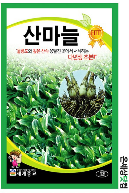 산마늘 40립 / 산마늘씨앗 명이나물씨 종자 토속나물 주말농장 베란다텃밭, 2개