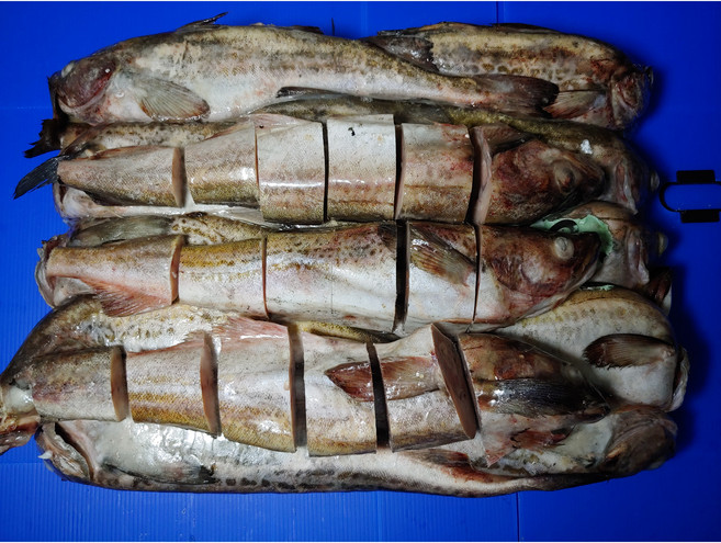 다원 동태 [6통] 토막 10kg~11kg, 10kg 10~11미, 1개