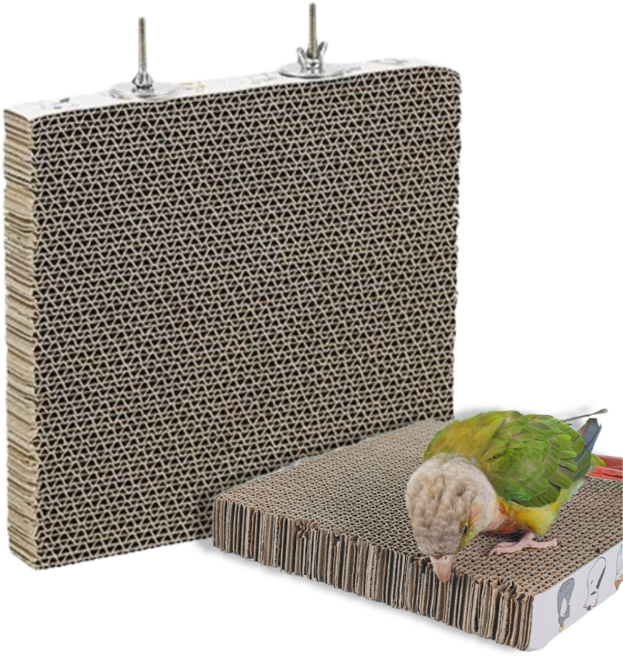 LETOJ 앵무새 골판지 장난감, 1개, 고양이패턴