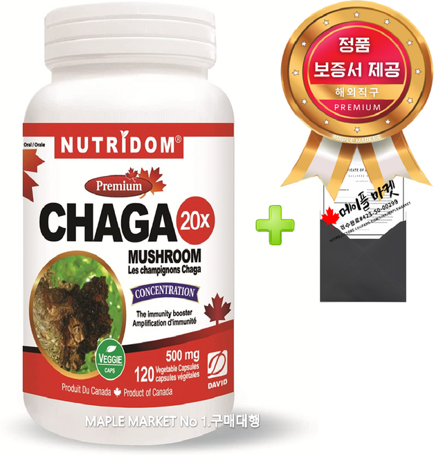 뉴트리돔 프리미엄 차가버섯 20배 농축 500mg 120캡슐+정품보증서 캐나다 직배송, 1개, 120정