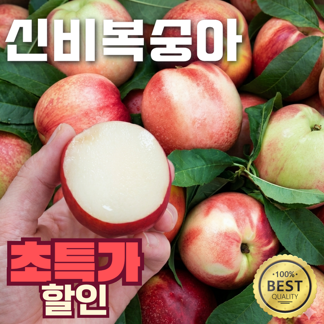 산지직송 과즙가득 초고당도 신비복숭아, 1박스, 소과 1kg