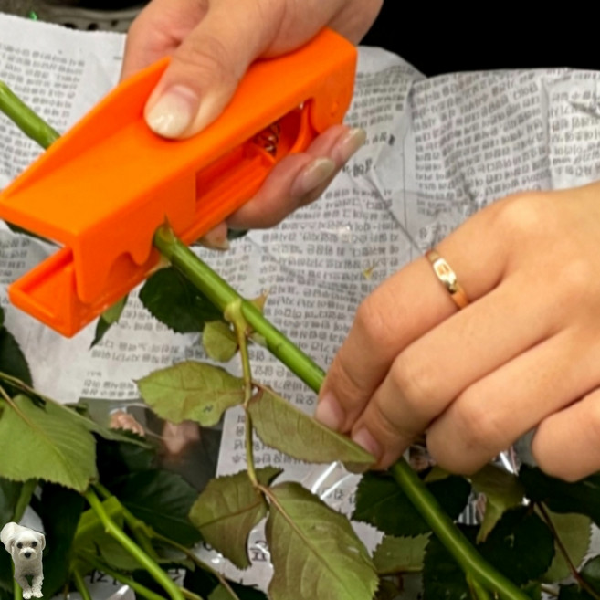 꿀이맘투 원예 꽃꽂이 가위 장미꽃가시펜치