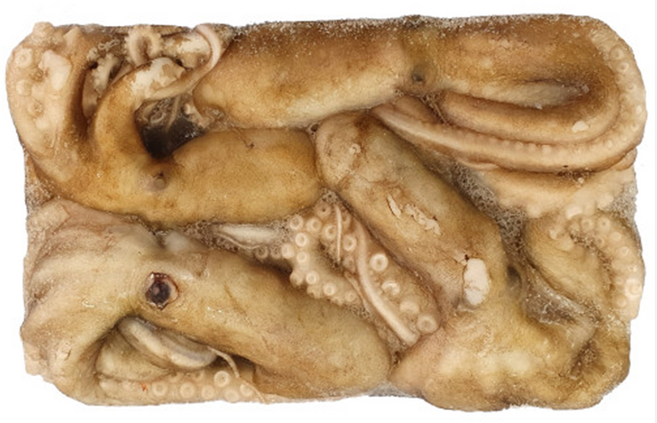 냉동 통 활 낙지, 1개, 1.냉동활낙지 850g_4미(200-300), 850g_4미(200-300)