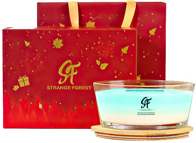 【上手家居】白噪音香氛蠟燭 19x11x8cm 大豆蠟 玻璃材質, 1個, 禮盒 苔綠初醒