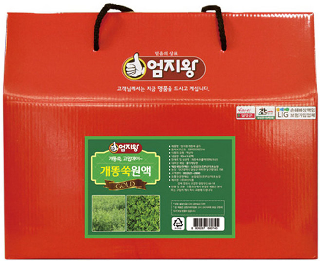 약초약선생 개똥쑥 원액 70ml 30포, 1박스