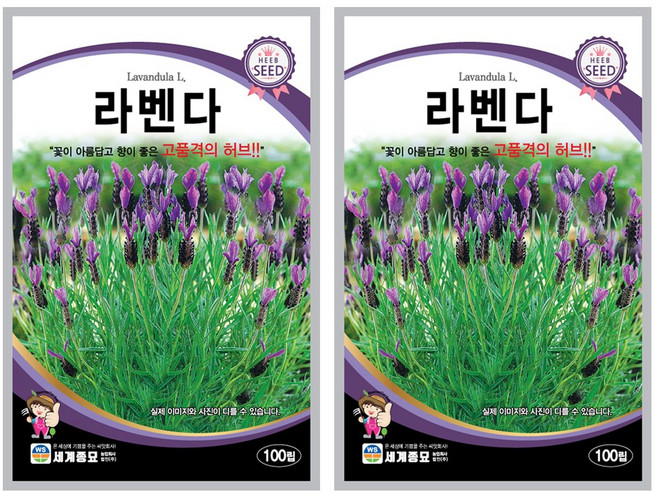 라벤다 씨앗 100립 허브씨앗 세계종묘 모칸도, 2개