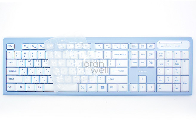 오랜웰 로이체 RX-3300 키보드호환 키보드커버/덮개/키스킨 (6), 1개