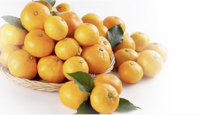 첫출하!! 고당도 새콤달콤 서귀포 감귤 산지직송 과즙팡팡, 1박스, 5kg 랜덤과