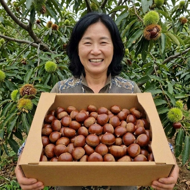 9위 - [생산자직송] 당일수확 국산 부여 공주 햇밤 대과, 1박스, 2kg