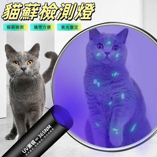 紫外線手電筒 365nm 紫光 伍德氏燈 寵物真菌檢測 驗鈔燈, 1個