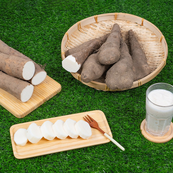 [재구매1위]산지직송 마사토 안동 산마 장마 생마 국내산, 1개, 안동 산마 (못난이) 2kg