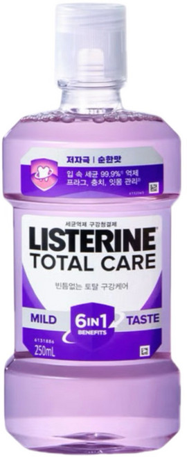 HOOT 리스테린 토탈케어 마일드 250ml 2개, 1