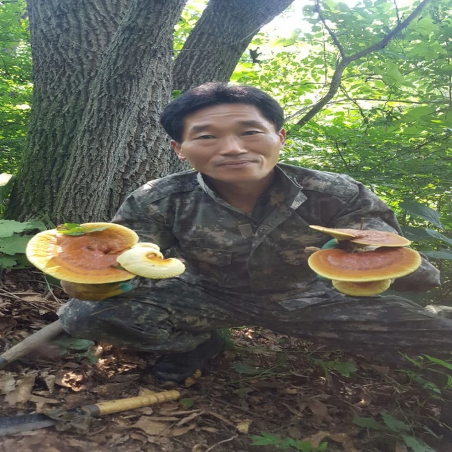 야생자연산100%영지버섯진액즙, 30개, 110ml - 쿠팡