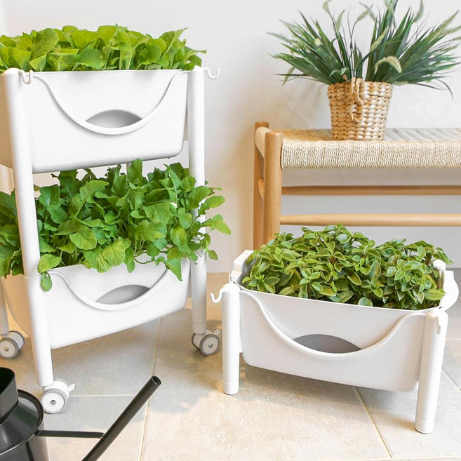 그린노마드몰 집에서상추키우기 저면관수화분 베란다상추키우기, 저면관수화분 1단 투명, 1개