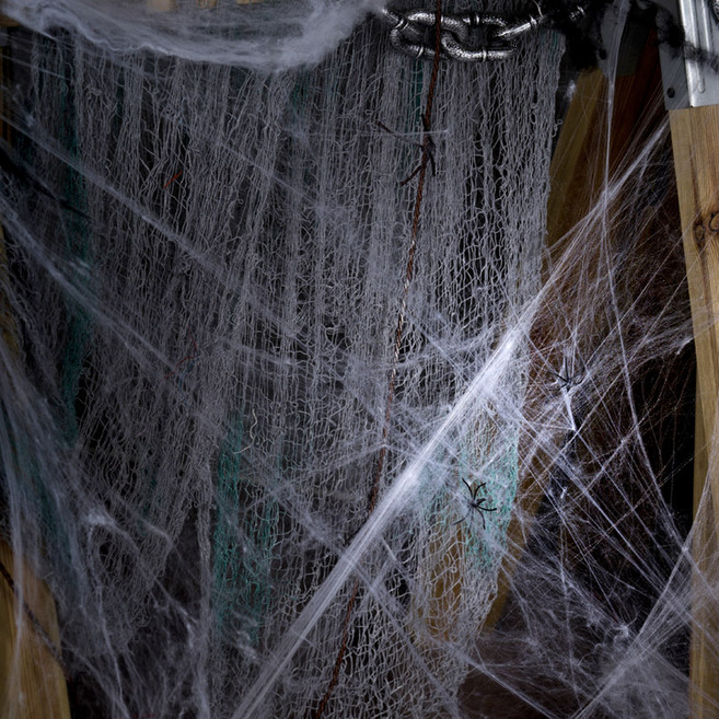 파티팡 할로윈 소품 거미줄, 화이트 5개