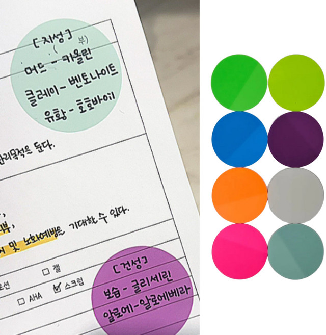 에브리체 깔끔한 독서 메모 플래그 스티커, 8개