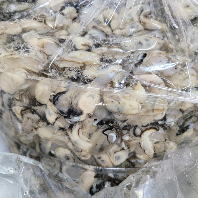 통영 당일수확 최상급 생굴 1kg (가열조리용), 1개