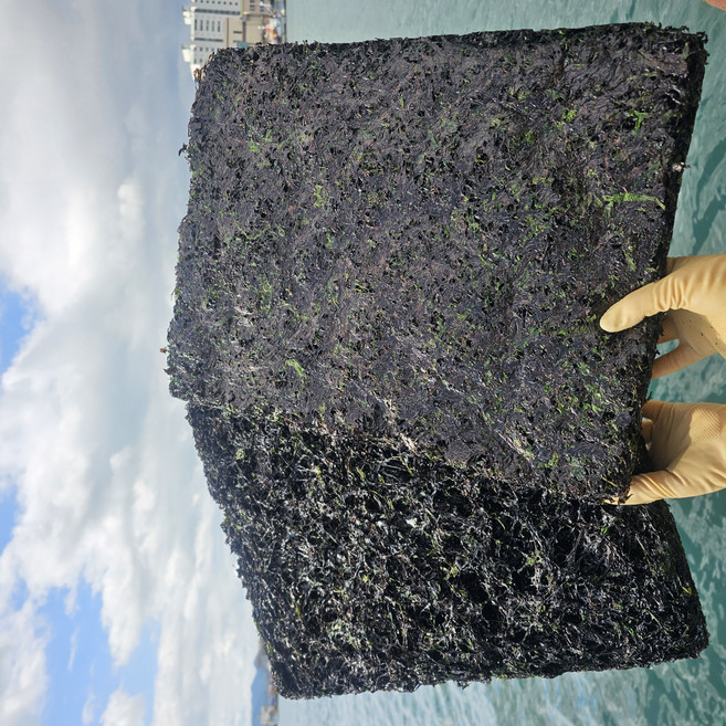 파래자반 돌자반 김자반 최상품 (300 g이상) 자반볶음용, 1개, 300g