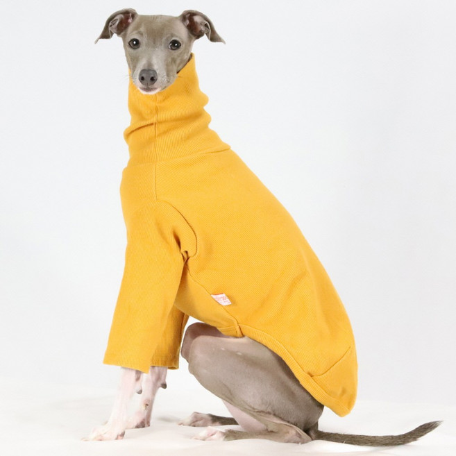 도기스타 아이쥐옷 이탈리안그레이하운드옷 신축짱 골지 기본 티셔츠, 머스타드, 1개