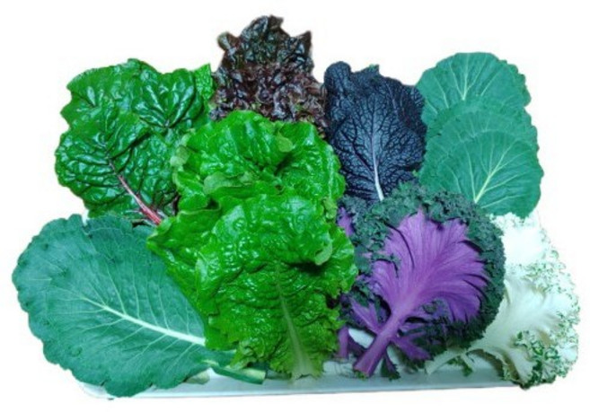 쌈채소 특수 쌈야채 모둠 모듬쌈 1kg, 2kg (쌈채소 7종), 1개