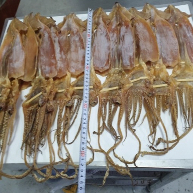 [웰빙미래마른오징어중10마리 대략750g내외 오징어구이 술안주 반찬 주전부리 간식], 10개, 대략 750g내외
