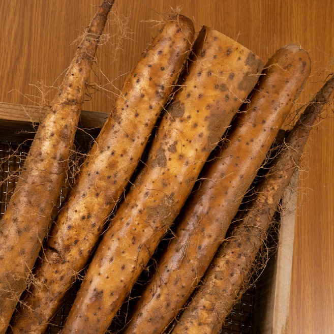 안동 태산농장 2025햇마 장마, 1박스, 5kg (m.장마중품)